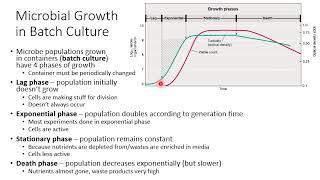 Ch 5 Microbial Growth and its Control