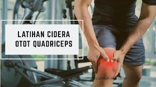 Exercises for quadriceps muscle injuries quadriceps muscles