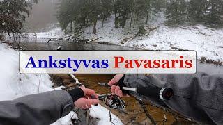 Ankstyvas Pavasaris - Gabrielius Ser