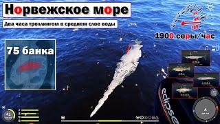 Троллинг в среднем слое воды • Снова здоровенный Меч • Норвежское Море • Русская Рыбалка 4