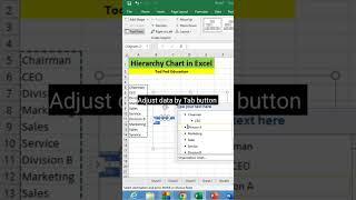 Hierarchy chart in #microsoft #excel #msexcel #shorts #computer #education