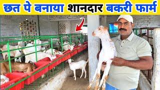 छत पर बकरी पालन  से 4 लाख कमाई सालाना  Rooftop goat farming ऐसा फार्म नहीं देखा होगा