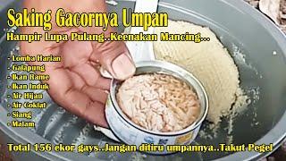 Hampir Lupa Pulang ‼️ Saking Gacornya Umpan..Liat pelampung ngetrik terus