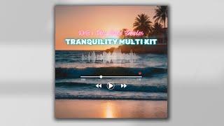 DEEP HOUSE x RNB SAMPLE PACK - TRANQUILITY  MIDIs ONE SHOTS PERC LOOPS SAMPLES