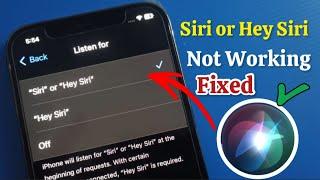 Siri or Hey Siri not working on any iPhone something went wrong please try again Apple tech world