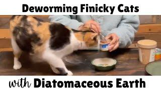 How to Deworm Finicky Cats with Food Grade Diatomaceous Earth