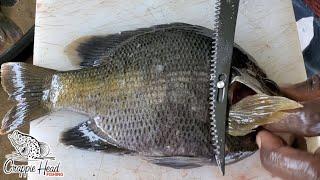 The Easiest Way to Filet Bluegill.