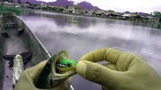 Mancing Ikan Gabus Di Danau Depan Rumah