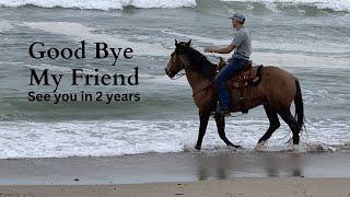 EMOTIONAL VIDEO  RIDING MY HORSE ON THE BEACH FOR THE VERY FIRST TIME