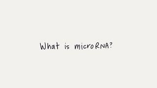 What is microRNA miRNA?