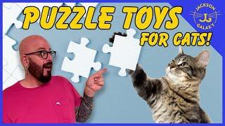 Puzzle Toys for Cats Everything You Need to Know