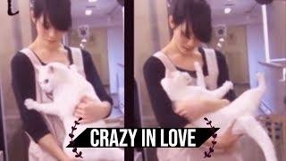 NEKO TIME crazy japanese cat loves his human -  池袋のねころび Cat Cafe