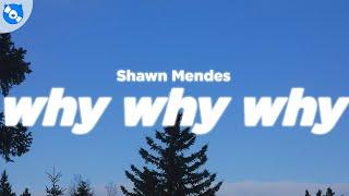 Shawn Mendes - Why Why Why Clean - Lyrics