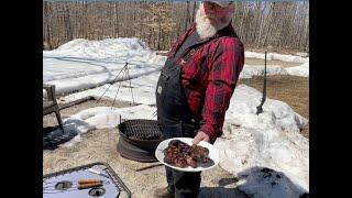 Lazy On The Homestead  Lets Campfire Cook