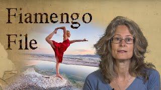 Free Yoga And Other Crimes - The Fiamengo File Episode 16