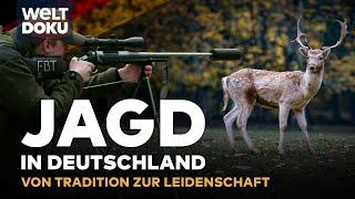 MODERNE JAGD IN DEUTSCHLAND Wildregulierung vs. Tierschutz - Wildschweine & Rehe  WELT HD DOKU