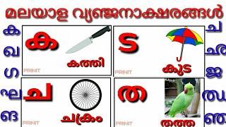 Learn Malayalam Consonantsവ്യഞ്ജനം vyañjanam  Malayalam Alphabet  Malayalam Aksharamalakaga