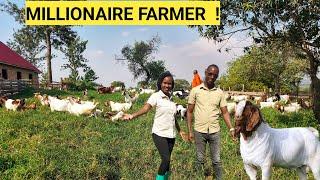 How He STARTED A Simple GOAT Farm Business On ONE Acre  Costs Market Housing Training