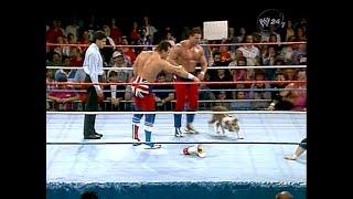 The British Bulldogs vs. Hart Foundation 11.06.1987