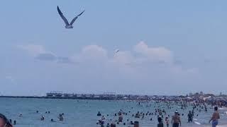 B2 Stealth Bomber flies over Miami Beach 53021