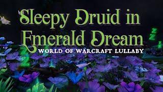 Sharm  Sleepy Druid in Emerald Dream A World Of Warcraft Lullaby