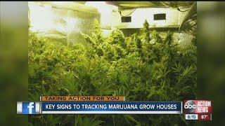 Key signs to tracking marijuana grow houses