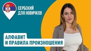 Сербский алфавит и правила произношения  Уроки сербского языка для новичков