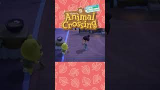 Unable to clean up #acnh #animalcrossing #animalcrossingnewhorizons