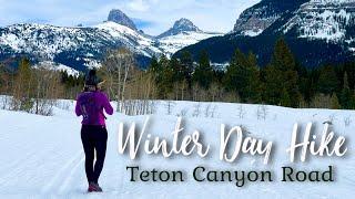 Winter Hike up Teton Canyon Road in Driggs Idaho  The Grand Tetons  Talking Moose