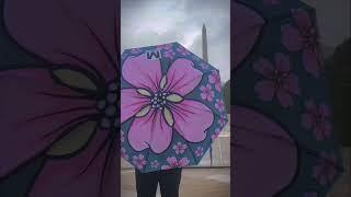 Check out our Cherry Blossom Umbrella #wmata