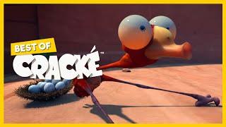 CRACKÉ - BENDY BIRD  Cartoon Animation  Compilation