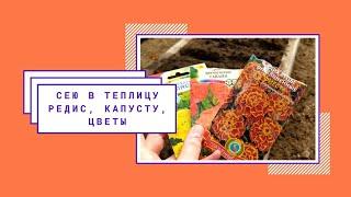 Сею в теплицу редис капусту цветы.