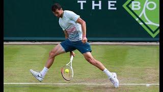 Grigor Dimitrov vs Novak Djokovic - Boodles Challenge 2013 Highlights - Funny Tennis Showdown