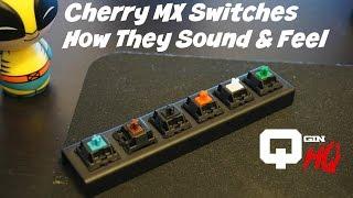 Cherry MX Switches How They Sound & Feel Blue Red Brown Green Black White