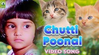 Chutti Poonai Movie Songs  Jukebox  Baby Shalini  Mayil Music