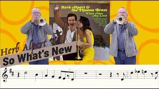 So Whats New by Herb Alpert Trumpet Cover