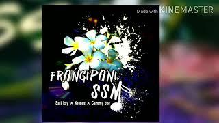 Frangipani SSM.  Saii kay Vol #2. Instrumental By DELTA