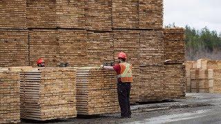 Trudeau determined to reach softwood lumber deal ‘once and for all’