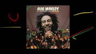 Is This Love – Bob Marley and The Chineke Orchestra Visualizer