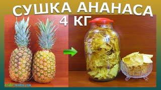 Сушка ананаса – 4 кг