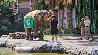 Beruntung dapat kesempatan seperti ini  Keluarga Dewiraja main² di Bali Safari and Marine Park