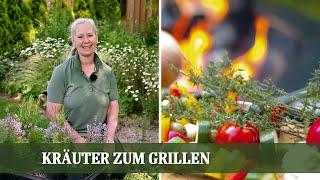 Würzige Grillkräuter Meine 5 Favoriten für die warme Küche