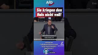 Sie kriegen den #Hals nicht voll #Parteienfinanzierung #afd #Steuergeld #stephanbrandner