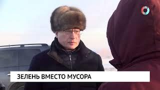 Зелень вместо мусора