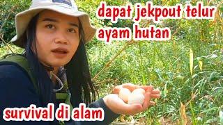 SURVIVAL COOKING BERBURU MAKANAN LIAR DAPAT TELUR AYAM HUTAN