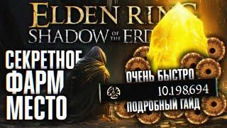 ELDEN RING DLC ЛУЧШЕЕ МЕСТО ДЛЯ ФАРМА 10000000 РУН СЕКРЕТНАЯ ЛОКАЦИЯ  ЭЛДЕН РИНГ ДЛС ФАРМ РУН ГАЙД