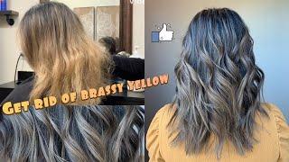 Toning Down Brassy Yellow Hair  Matrix Color sync