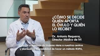 Método ROPA ¿Quién aporta el óvulo y quién lo recibe? - Antonio Requena Director Médico de IVI.