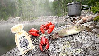 MOUNTAIN Crawdad & Trout Fishing EPIC Catch & Cook