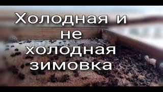 С -21 до +5 за сутки. Осмотр слабых семей в январе. Пасека на роях.